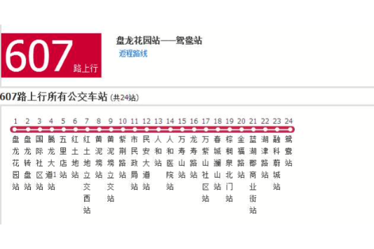 重慶公交607路 重慶公交607路