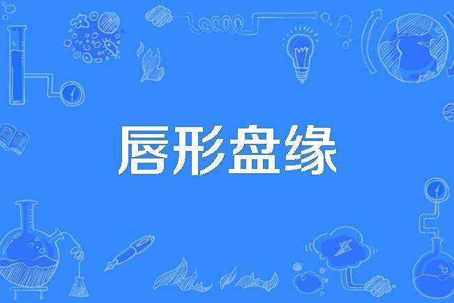 唇形盤緣 唇形盤緣