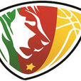 喀麥隆國家男子籃球隊