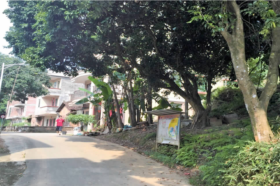 鐘屋村(廣州市黃埔區新龍鎮金坑村下屬自然村) 鐘屋村(廣州市黃埔區新龍鎮金坑村下屬自然村)