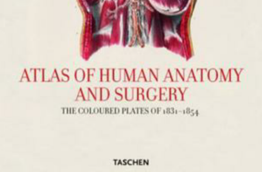 ATLAS OF ANATOMY 解剖圖譜