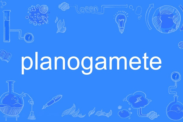 planogamete planogamete