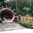 基諾山寨 基諾山寨
