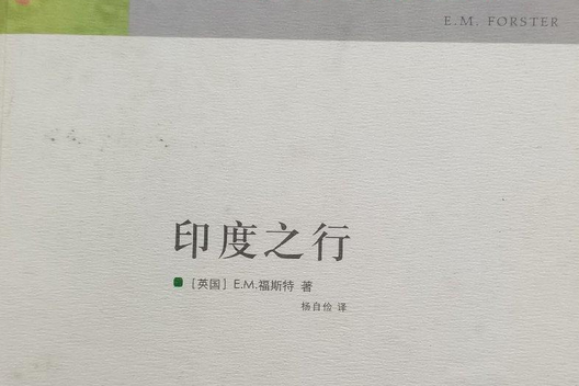 印度之行(2007年譯林出版社出版的圖書) 印度之行(2007年譯林出版社出版的圖書)