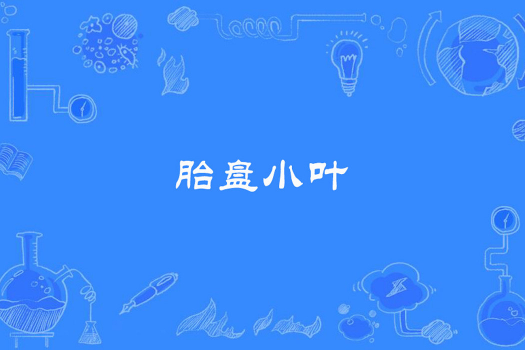 胎盤小葉 胎盤小葉