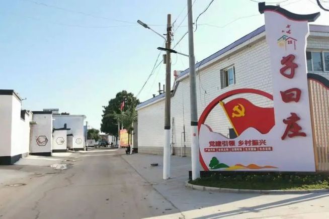 子曰莊村 子曰莊村