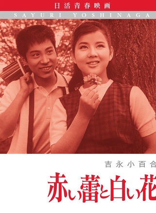 吉永小百合