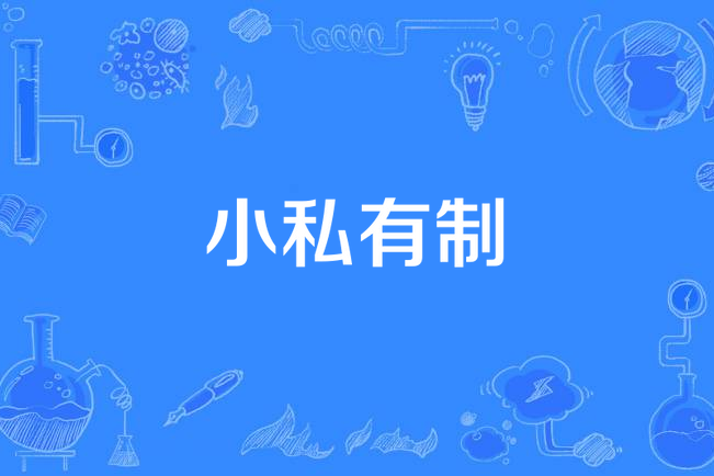 小私有制 小私有制