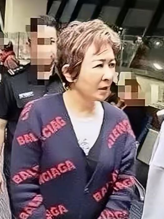 郝斌(違法犯罪嫌疑人、深大通集團實際控制人姜劍妻子) 郝斌(違法犯罪嫌疑人、深大通集團實際控制人姜劍妻子)