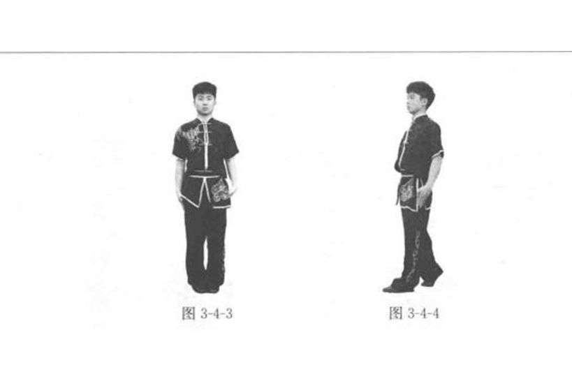 退步(武術術語) 退步(武術術語)
