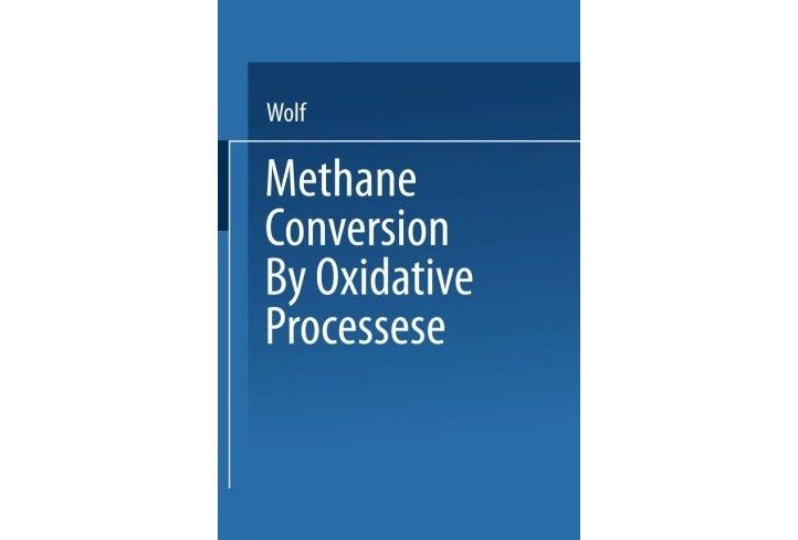 Methane Conversion by Oxidative Processes: Fundamental and Engineering Aspects
