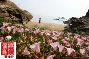 哈仙島風光——春
