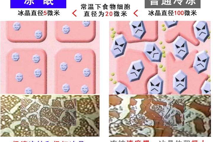 凍眠 凍眠