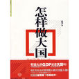 怎樣做大國 怎樣做大國