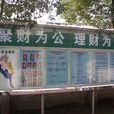 毛家港鎮