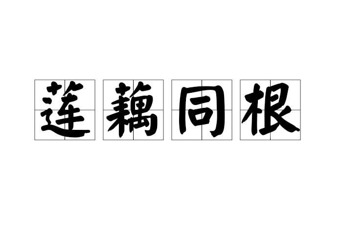 蓮藕同根 蓮藕同根