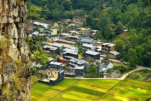 廟雞村 廟雞村