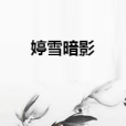 婷雪暗影 婷雪暗影