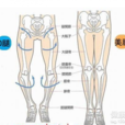 螺旋腿 螺旋腿