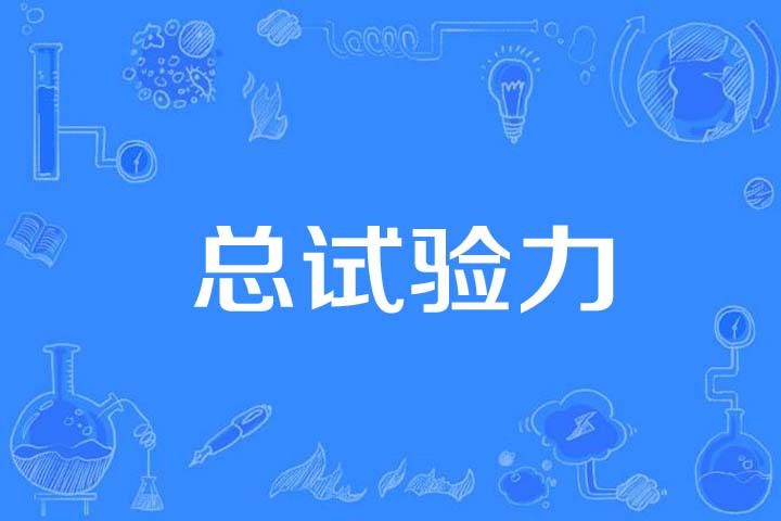 總試驗力 總試驗力