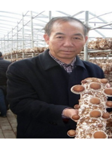 侯桂森(廊坊職業技術學院教授) 侯桂森(廊坊職業技術學院教授)