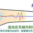 行波學說 行波學說