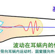 行波學說(行波理論)