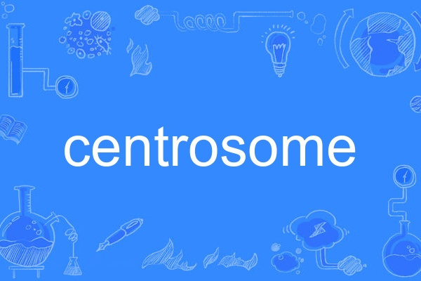 centrosome centrosome