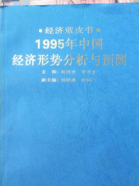 1995年中國經濟形勢分析與預測
