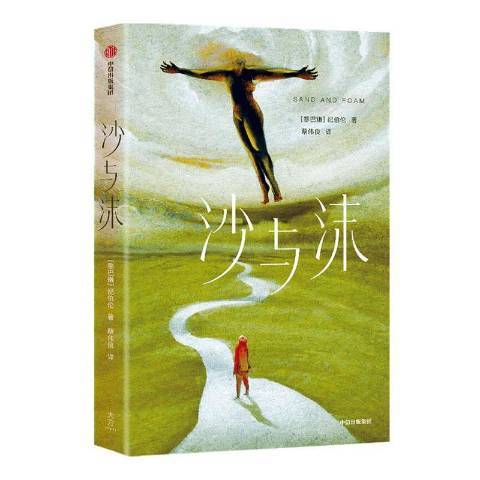 沙與沫(2021年中信出版社出版的圖書) 沙與沫(2021年中信出版社出版的圖書)