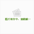 神遊折花 神遊折花