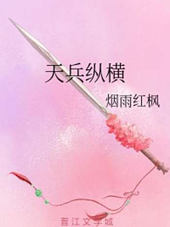 天兵縱橫 天兵縱橫