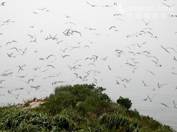 浙江象山韭山列島海洋生態國家級自然保護區