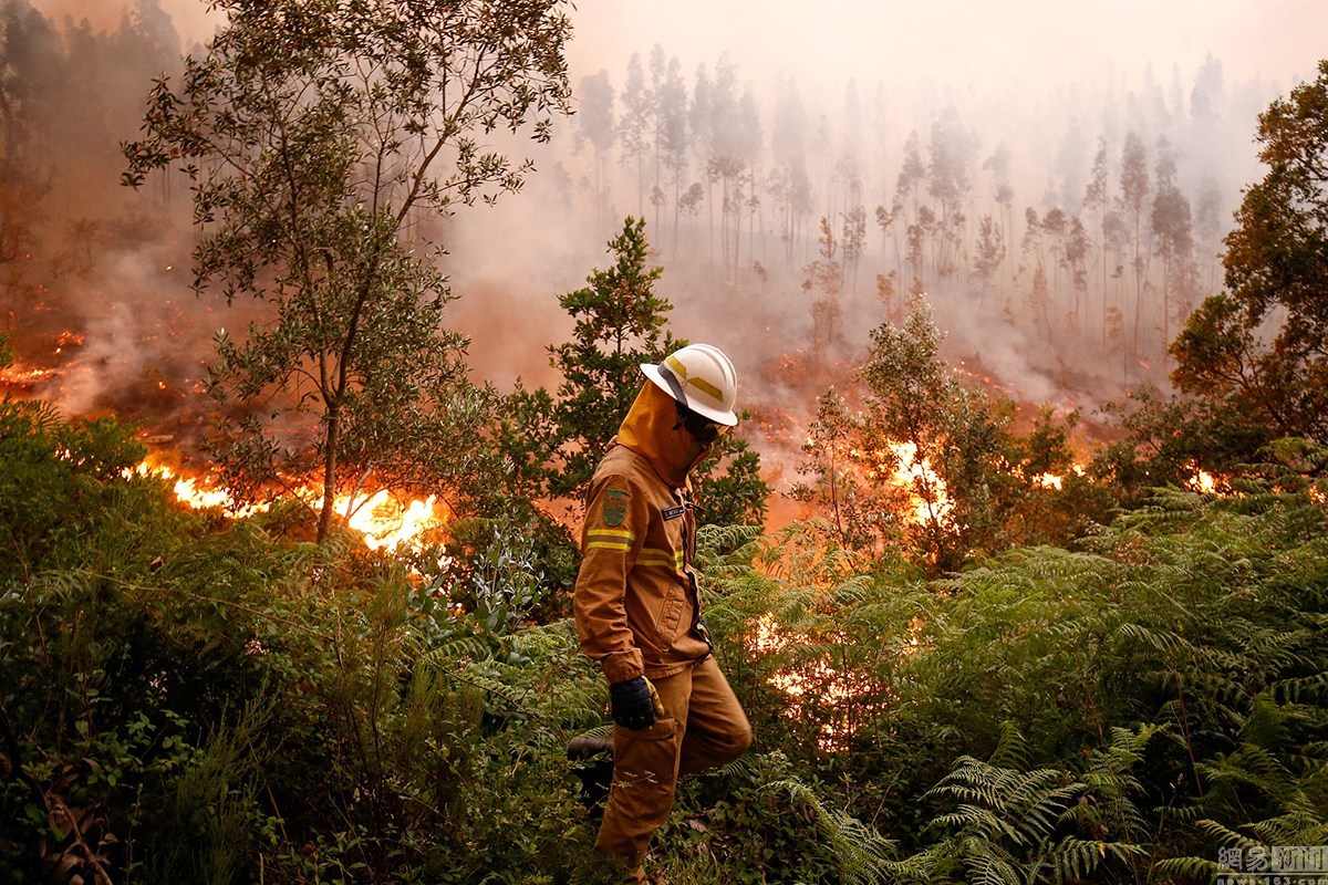 6·17葡萄牙森林火災