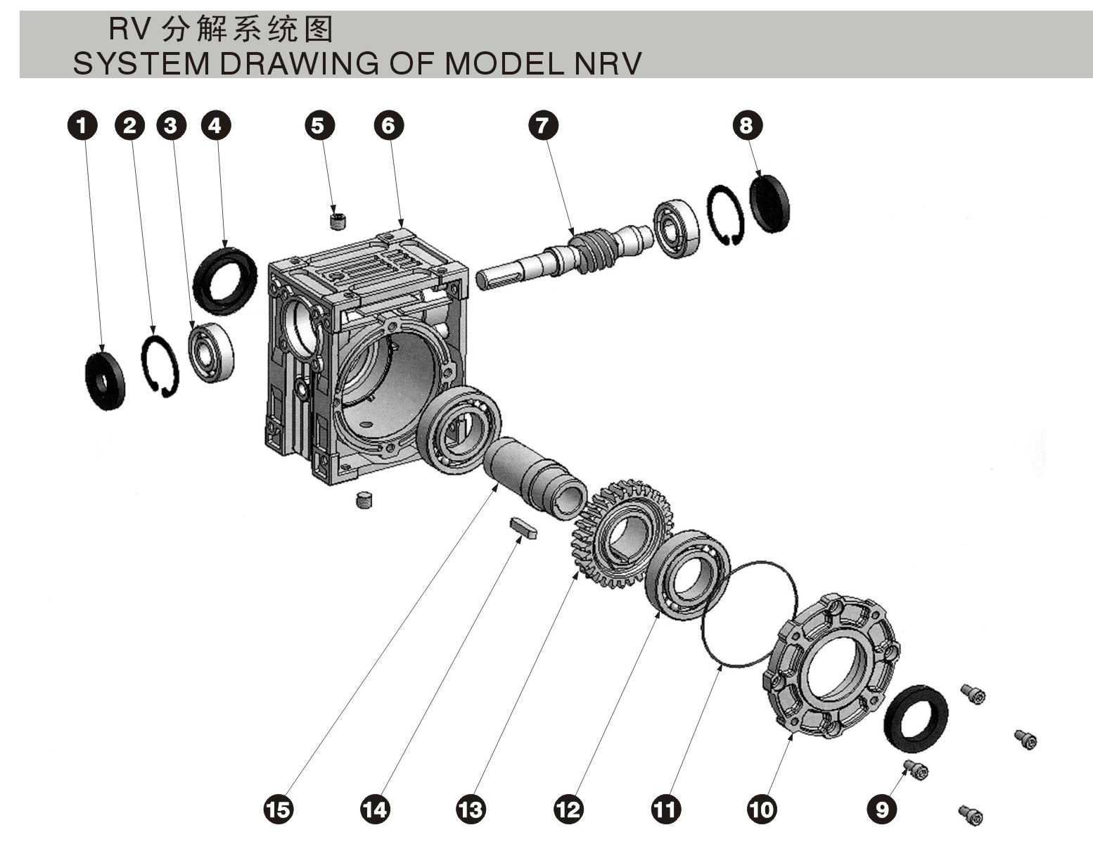 RV75軸輸入型結構圖
