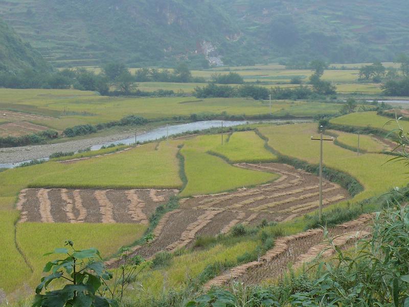 那耐村耕地