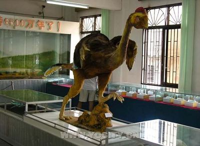河源恐龍蛋化石展館