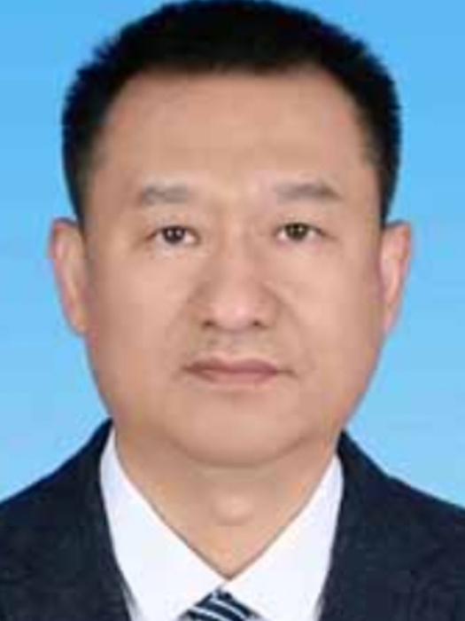 王保華(河南省駐馬店市自然資源和規劃局黨組成員、市自然資源總督察)