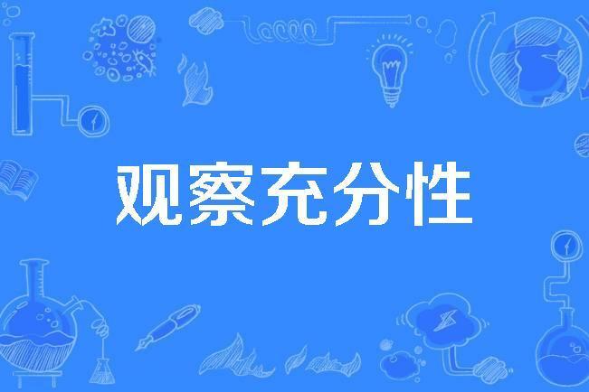 觀察充分性 觀察充分性