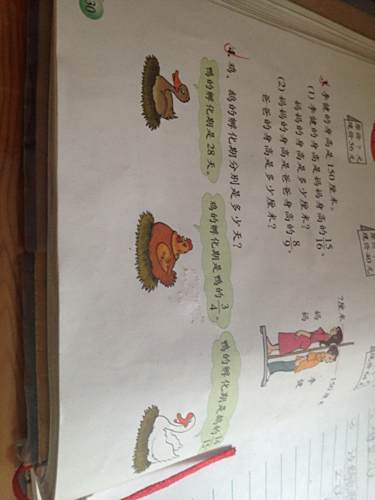 題鵝 題鵝
