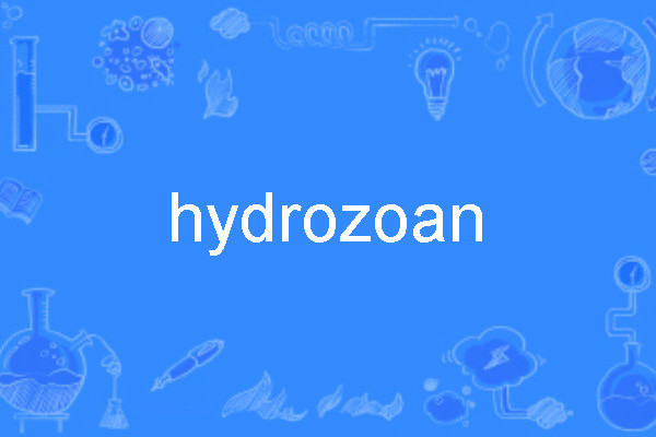 hydrozoan hydrozoan