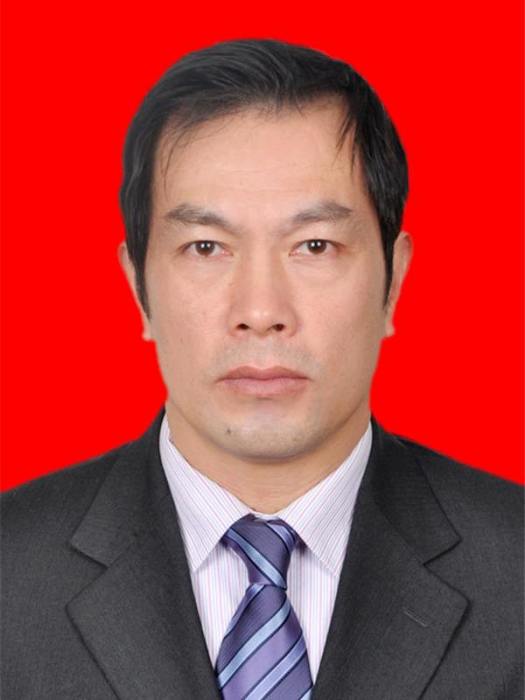 陳平(湖南省岳陽市第九屆人民代表大會常務委員會委員)