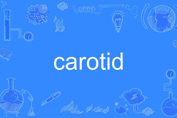 carotid carotid