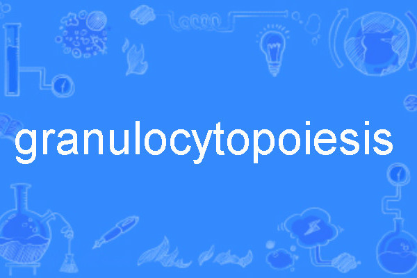 granulocytopoiesis granulocytopoiesis