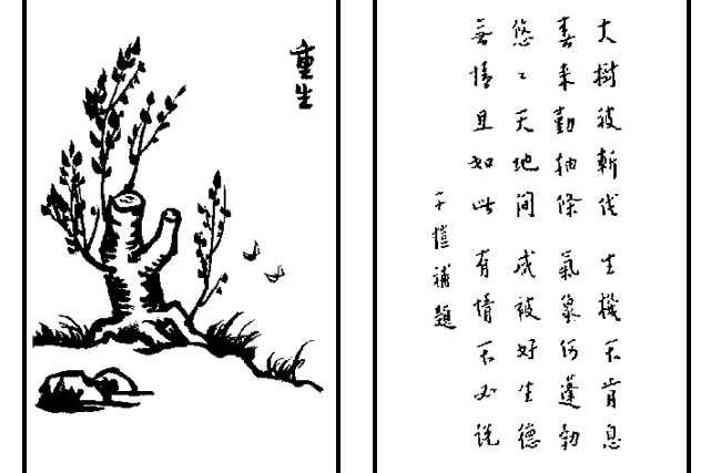 重生(護生畫集中的文章) 重生(護生畫集中的文章)