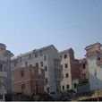 吳大路村 吳大路村