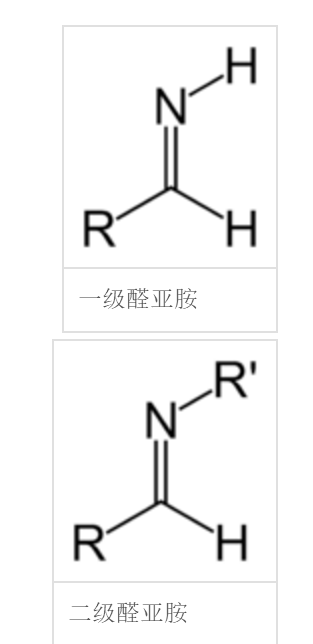 一級和二級醛亞胺的結構式