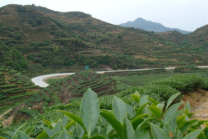 金湖嶺 金湖嶺