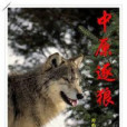 中原逐狼 中原逐狼