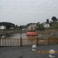 青蓮鎮(四川省南充市青蓮鎮) 青蓮鎮(四川省南充市青蓮鎮)